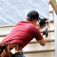 Best Fascia and Soffit Installation  in Cary, IL